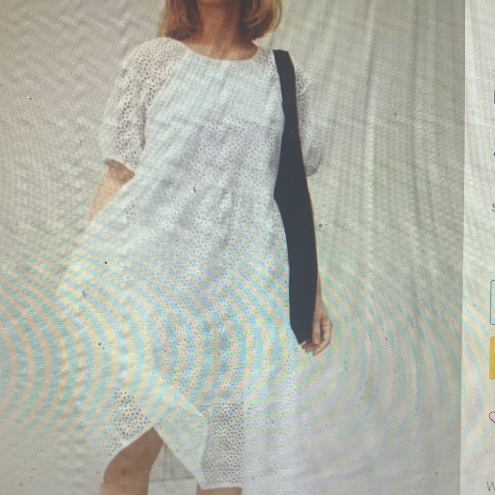 Everlane White Midi Dress